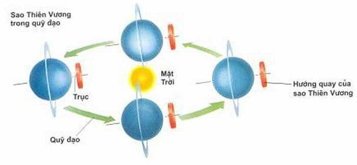  Không giống như các hành tinh khác, sao Thiên Vương quay trong khi nằm ngang trên quỹ đạo quanh Mặt trời. 