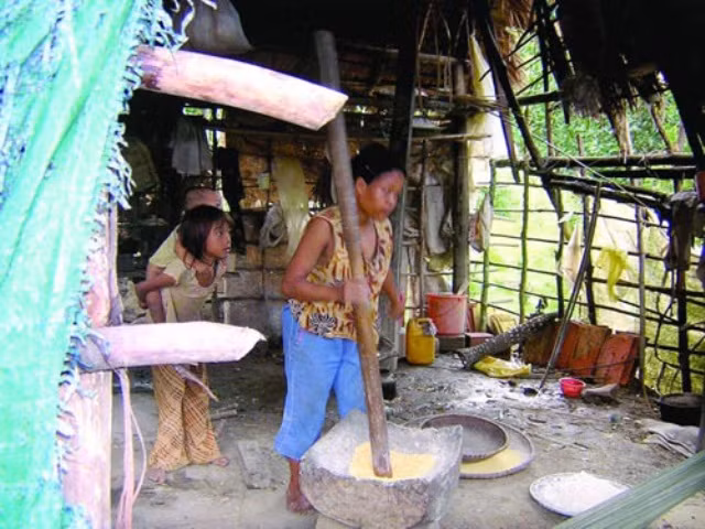 Có người Rục khi bưng bát cơm lúa mới đầu tiên đã không kìm được nước mắt.