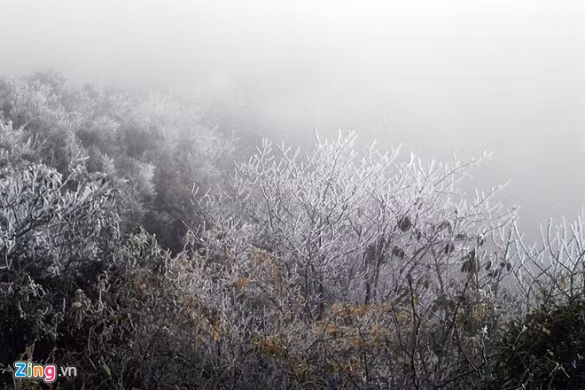 Sáng sớm 17/12, ở độ cao 2.800m, trên đường lên đỉnh Fansipan đã xuất hiện băng giá do nhiệt độ xuống quá thấp.