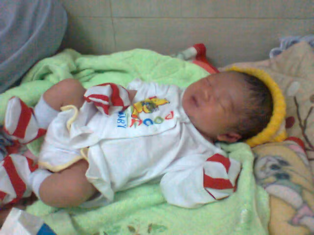 Khoảng 4h ngày 7/2/2014, một bé gái vừa chào đời còn chưa rụng rốn đã bị bỏ rơi trước cổng chùa Bửu Trì (phường Xuân Khánh, quận Ninh Kiều, TP Cần Thơ).