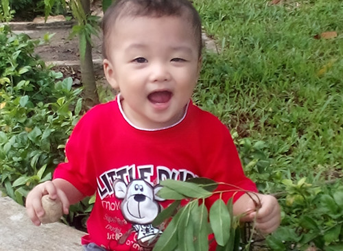 Sau khi biết tin bé trai bị bỏ rơi, đang được các cán bộ Phường 1 chăm sóc, nhiều gia đình đã đến thăm bé và ngỏ ý muốn xin bé về làm con nuôi. Có một đôi vợ chồng đứng tuổi đến phường nói rằng từng nuôi dưỡng bé và đề nghị đưa bé về. Tuy nhiên vì không đưa ra được các giấy tờ chứng minh nên phía công an phường không đồng ý.