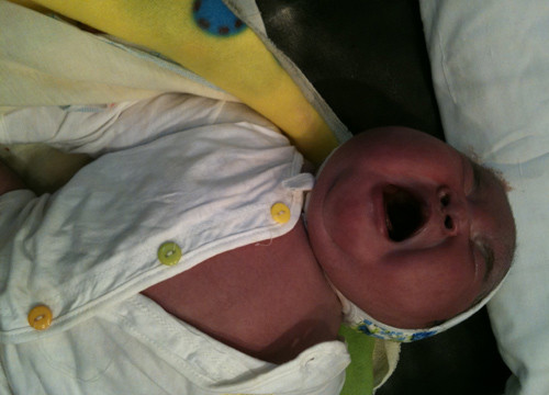 Bé gái mới sinh nặng 6,5kg.