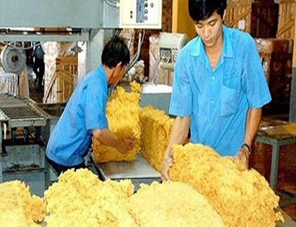 Ông Đoàn Nguyên Đức cho biết, chủ trương của HAGL ngay từ đầu là không sản xuất cao su cho Trung Quốc. Theo ông, xuất khẩu phụ thuộc một thị trường, chắc chắn sẽ chết.