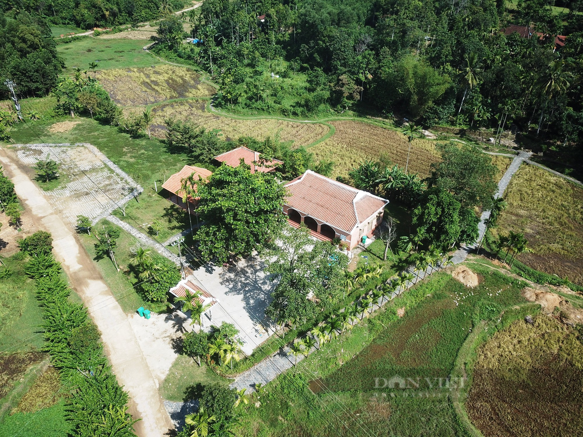 Mot lang co noi tieng Quang Nam trai cay du mau xanh, do, tim, vang-Hinh-2