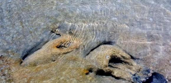 Phat hien gay soc ve dau vet cong nghiep tu 150.000 nam truoc