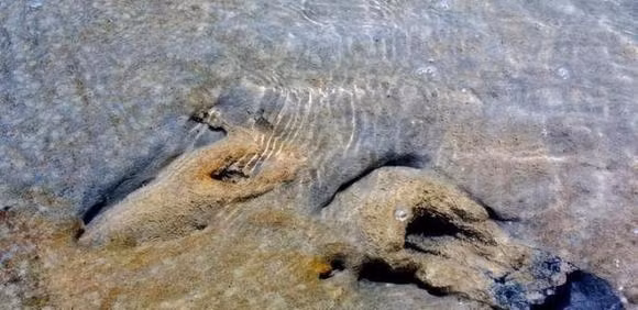 Phat hien gay soc ve dau vet cong nghiep tu 150.000 nam truoc