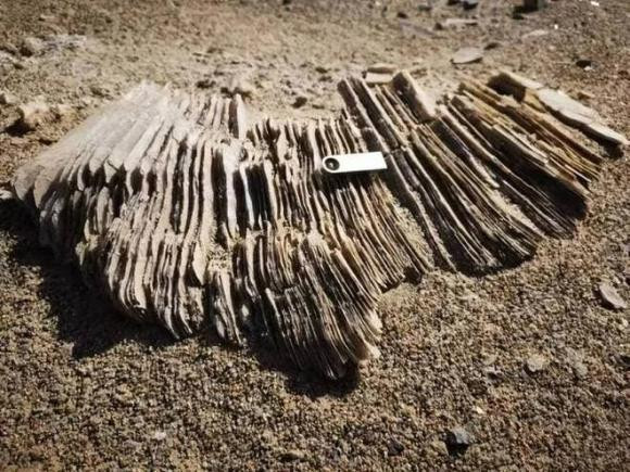 Phat hien gay soc ve dau vet cong nghiep tu 150.000 nam truoc-Hinh-7