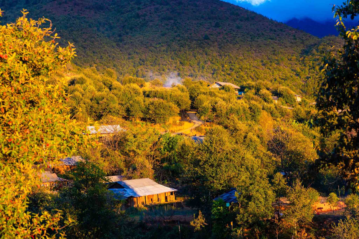 …bởi thế, nơi đây có kiểu khí hậu đặc trưng, mùa Đông lạnh giá còn mùa Hè mát mẻ. Ảnh: Vũ Ngọc Thiện.