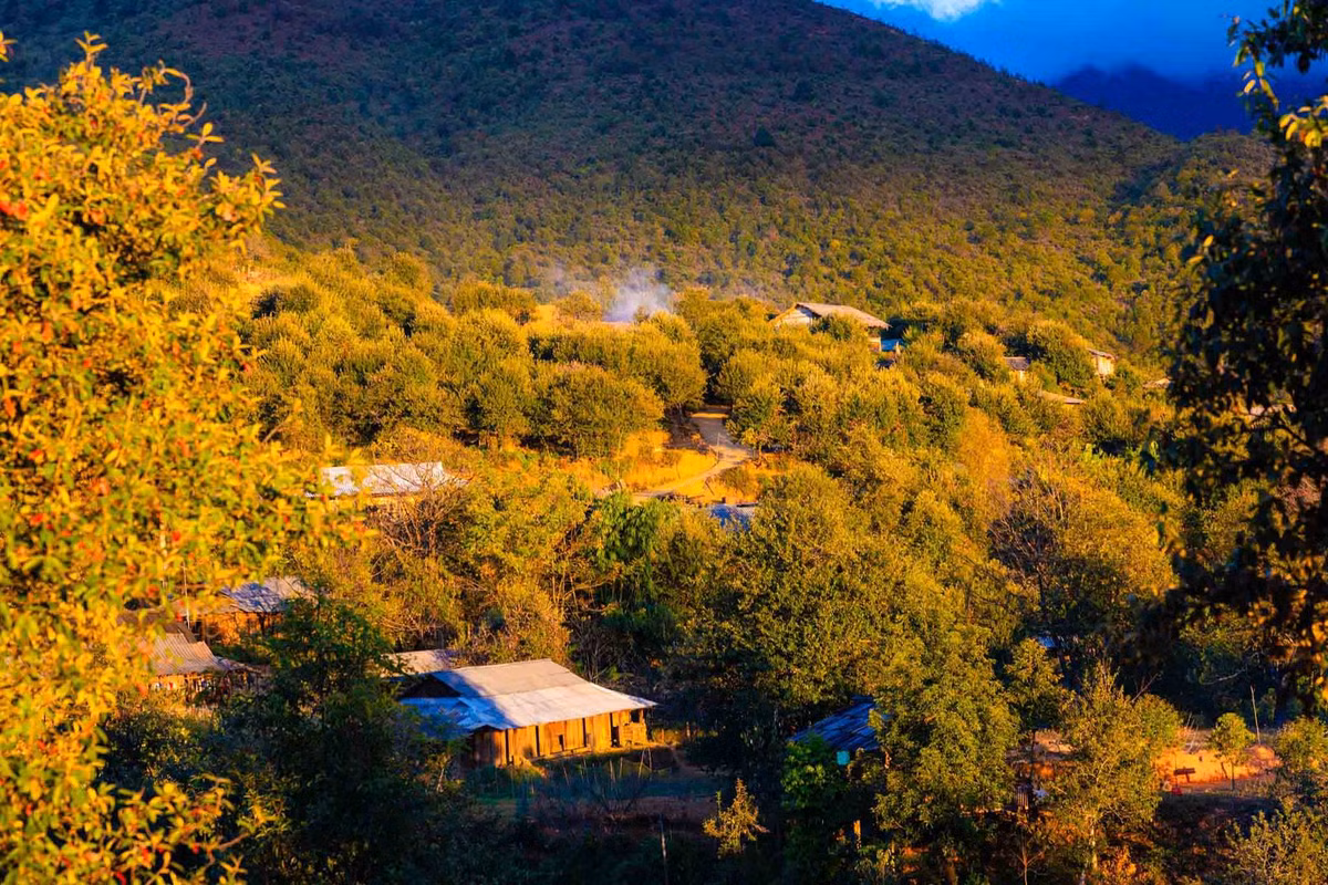 …bởi thế, nơi đây có kiểu khí hậu đặc trưng, mùa Đông lạnh giá còn mùa Hè mát mẻ. Ảnh: Vũ Ngọc Thiện.