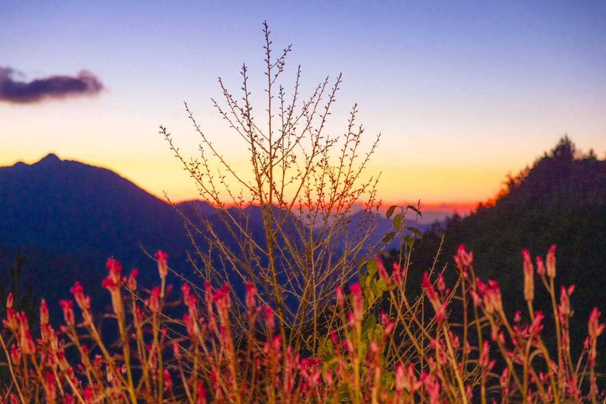 Một góc bản Nậm Nghiệp trong ánh chiều buông. Ảnh: Vũ Ngọc Thiện.