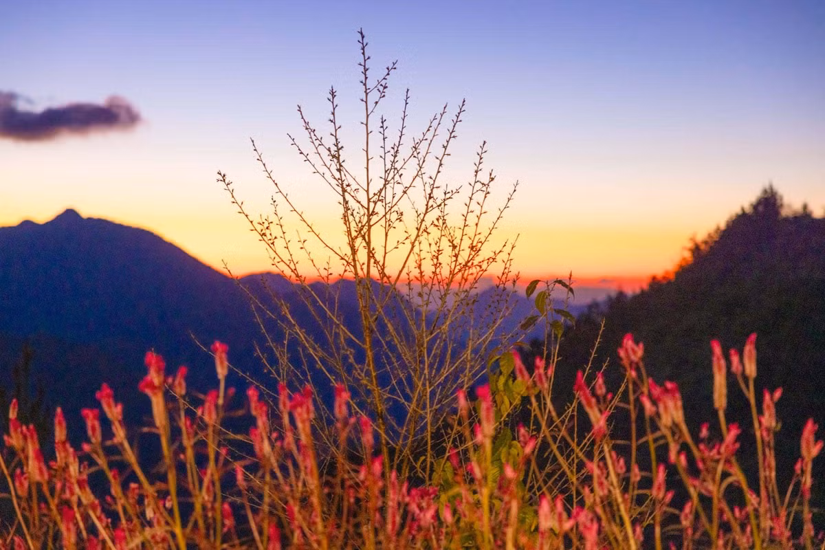 Một góc bản Nậm Nghiệp trong ánh chiều buông. Ảnh: Vũ Ngọc Thiện.