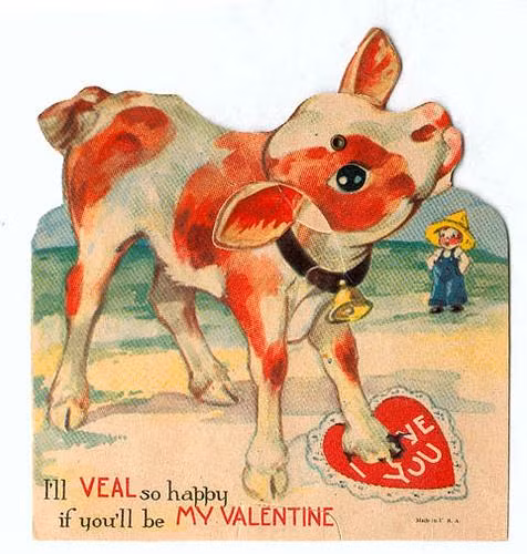 Lời tỏ tình ngọng nghịu của chú bê trong ngày Valentine.