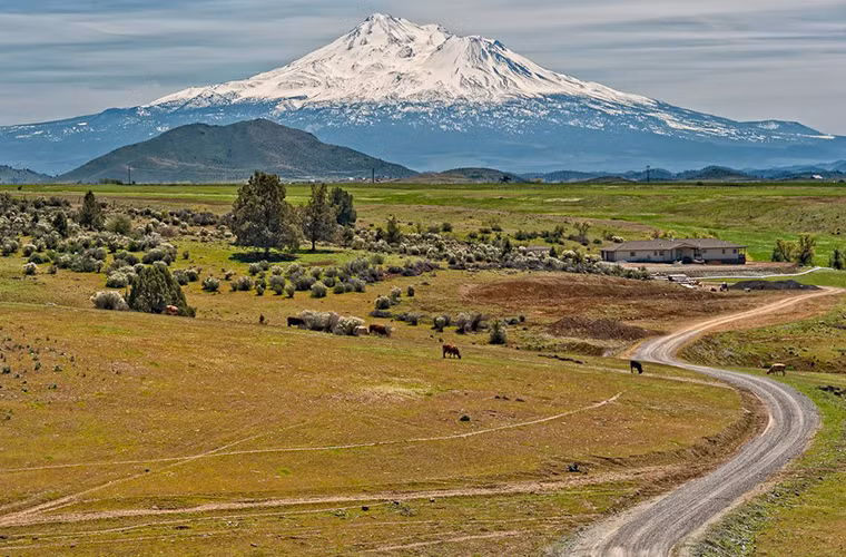 Apple có thể sẽ ra mắt phiên bản mới của hệ điều hành OSX vào năm sau. Hai phiên bản gần nhất đã được đặt tên theo các thắng cảnh tại California, Mavericks và Yosemite. Người ta hy vọng phiên bản mới này sẽ được gọi là Shasta, tên của một ngọn núi lửa ở California.