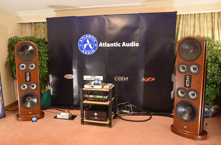 Khách hàng thường bỏ nhiều thời gian tại những phòng nghe có loa độc đáo. Ví dụ cặp loa này có thiết kế không thùng, cho âm thanh rất quyến rũ.