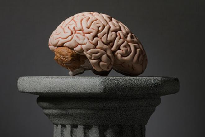 Ai la nguoi co chi so IQ cao nhat trong lich su nhan loai?