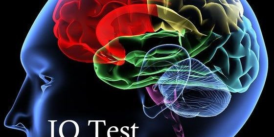 Người IQ cao có khả năng thao tác, xử lý, phân tích thông tin ở mức độ chuyên sâu và tốc độ nhanh hơn người bình thường. Để đo chỉ số IQ, các chuyên gia thiết kế ra bài test IQ để kiểm tra khả năng lập luận logic của mỗi người. Lần đầu tiên chỉ số IQ được sử dụng ở Pháp vào đầu thế kỷ 20 khi người ta muốn khắc phục những khó khăn của trẻ bắt đầu đi học. Tiếp đó, bài kiểm tra trắc nghiệm IQ được coi là hoàn chỉnh nhất của chuyên gia Hans Aizenk. Bài trắc nghiệm trở nên vô cùng phổ biến tại châu Âu trong những năm 1950. Mọi người tính điểm IQ của mình cả ở văn phòng và những buổi tiệc.