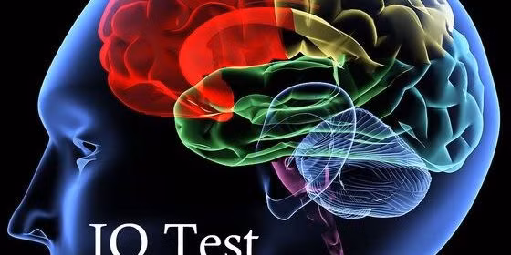 Người IQ cao có khả năng thao tác, xử lý, phân tích thông tin ở mức độ chuyên sâu và tốc độ nhanh hơn người bình thường. Để đo chỉ số IQ, các chuyên gia thiết kế ra bài test IQ để kiểm tra khả năng lập luận logic của mỗi người. Lần đầu tiên chỉ số IQ được sử dụng ở Pháp vào đầu thế kỷ 20 khi người ta muốn khắc phục những khó khăn của trẻ bắt đầu đi học. Tiếp đó, bài kiểm tra trắc nghiệm IQ được coi là hoàn chỉnh nhất của chuyên gia Hans Aizenk. Bài trắc nghiệm trở nên vô cùng phổ biến tại châu Âu trong những năm 1950. Mọi người tính điểm IQ của mình cả ở văn phòng và những buổi tiệc.