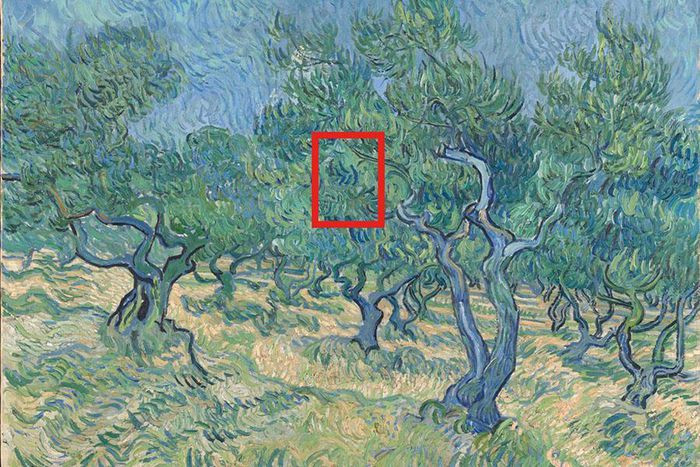 Vào tháng 10-2021, Bảo tàng Nghệ thuật Dallas đã trưng bày những phát hiện mới về các bức tranh vẽ trong rừng ô liu của Vincent Van Gogh, bao gồm dấu vết của một con côn trùng không may đậu vào sơn của ông, cung cấp bằng chứng về một địa điểm sáng tác của danh họa