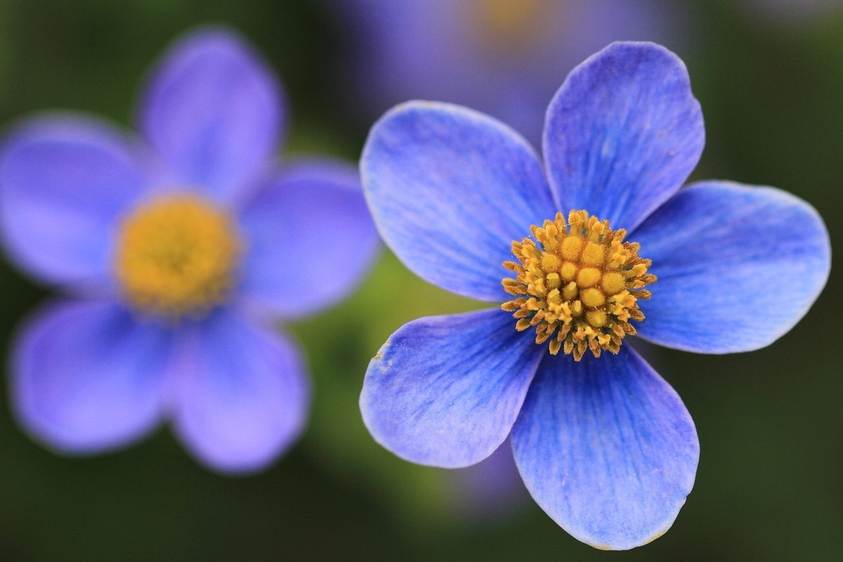 Phụ nữ sinh 3 tháng Âm lịch này, sự nghiệp, tình duyên 2024 rực rỡ - Hình 3 Phu nu sinh 3 thang Am lich nay, su nghiep, tinh duyen 2024 ruc ro-Hinh-3