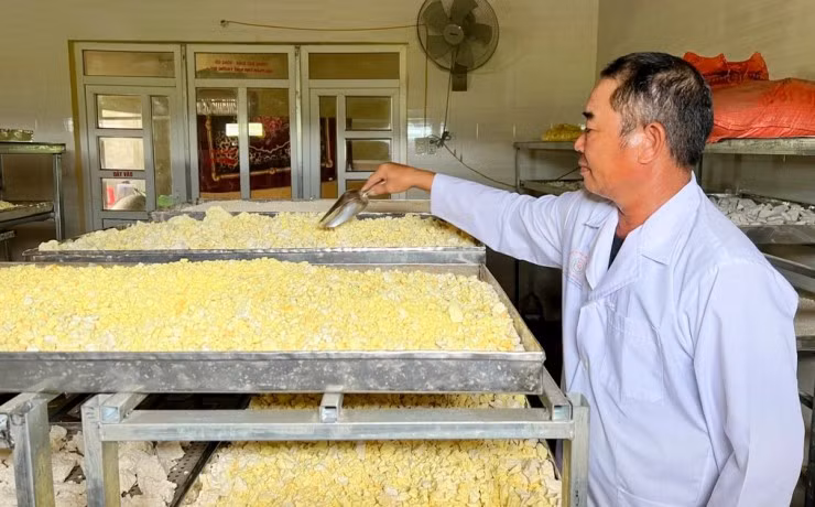 Đầu tư chế biến tinh bột nghệ, lão nông ở Nghệ An thu về 4 tỷ Dau tu che bien tinh bot nghe, lao nong o Nghe An thu ve 4 ty