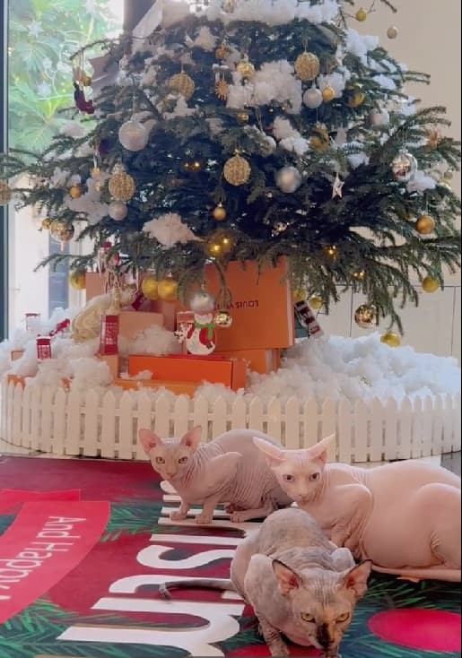 Cận cảnh tổ ấm vô cùng xịn xò của Lệ Quyên.