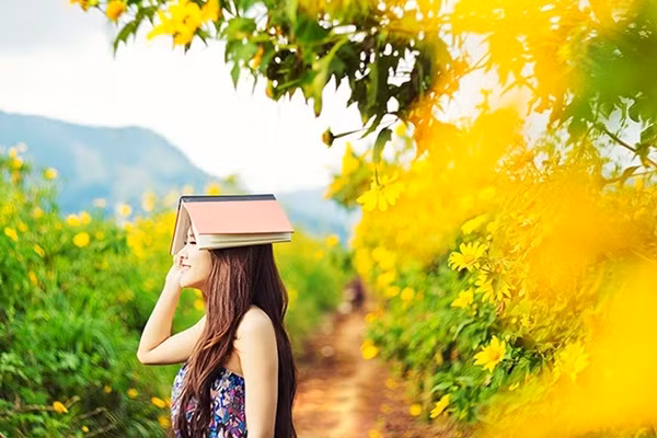 Vì là loài hoa dại nên dã quỳ mọc tự nhiên, không ngay hàng thẳng lối, có chăng chỉ mọc dọc hai bên những con đường quanh co, nhỏ hẹp, tạo thành hàng rào hoa màu vàng vô cùng độc đáo.