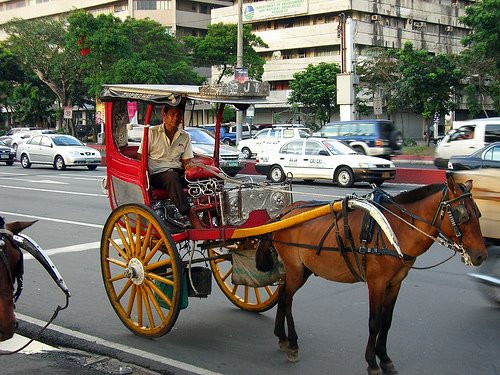 Muôn kiểu vận chuyển...