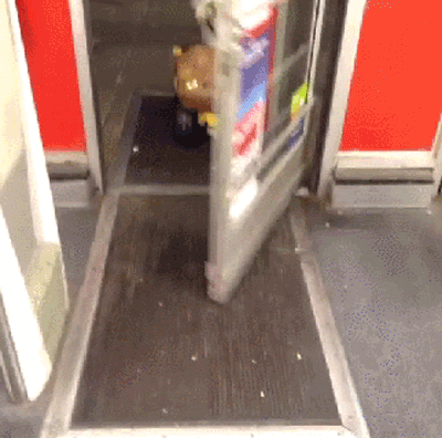 Cún tự lái xe đi mua sắm.