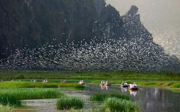 Lênh đênh trên con thuyền nan để khám phá khu đầm, giữa những dải núi đá kỳ thú, du khách có thể bắt gặp những loài thuỷ sinh phong phú xao động dưới làn nước, ngắm những cánh cò chấp chới trên ngọn cỏ năn, cỏ lác mọc lúp xúp trên đầm.