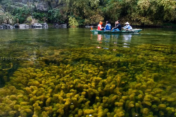 Khung cảnh nơi đây được tạo nên từ dòng sông chạy uốn lượn qua các dãy núi đá vôi, tạo thành vô vàn những hang động tự nhiên huyền ảo, kỳ bí.