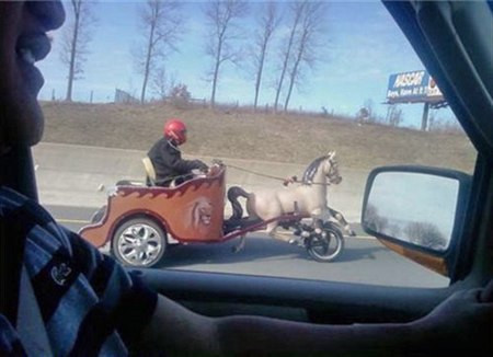 Cưỡi chiến mã dạo phố.