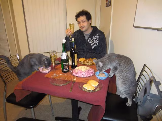 Bữa tiệc cùng với mèo.