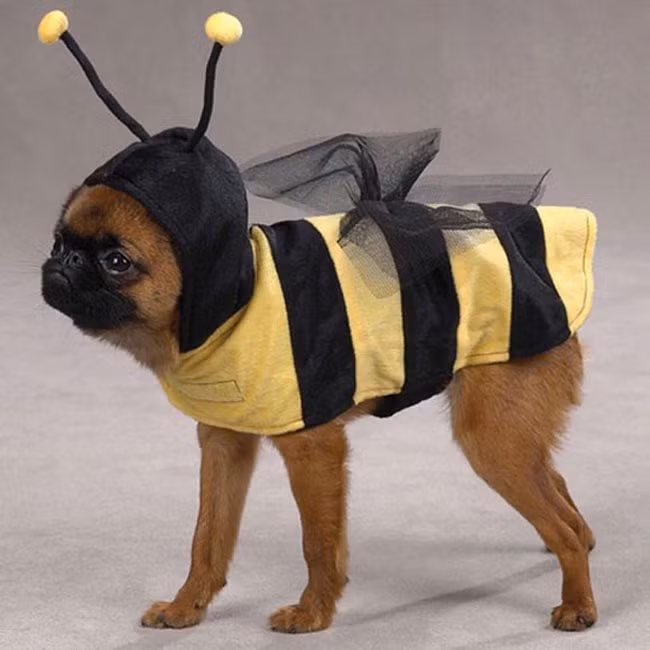 Em là chú ong chăm chỉ.