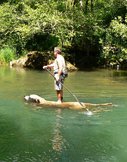 Ông ấy rất ít khi chèo "thuyền".
