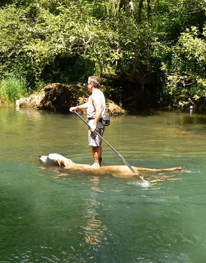 Ông ấy rất ít khi chèo "thuyền".