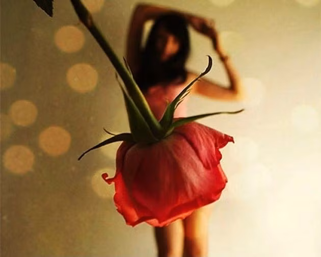 Váy hồng tuyệt đẹp.