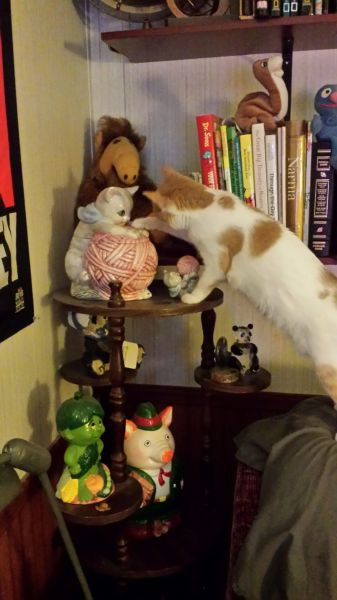 Cho anh xem với nào!