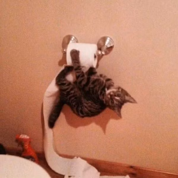 Em chỉ lấy giấy thôi mà.