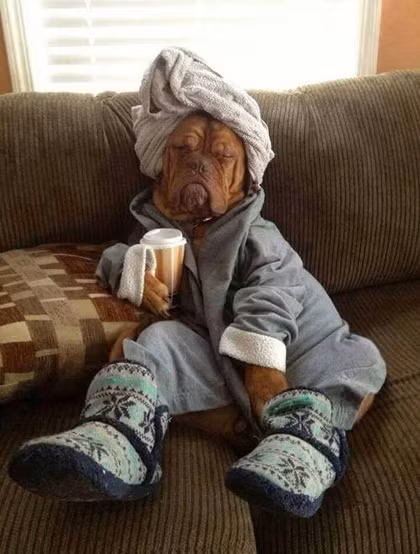 Cảm giác làm ông chủ thật thích.