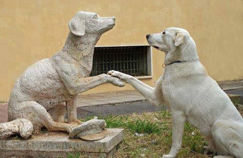 Sao em không nói gì vậy?