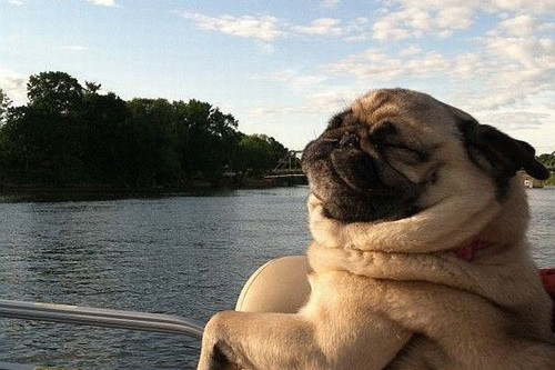 Cảm giác du ngoại thật thư thái.