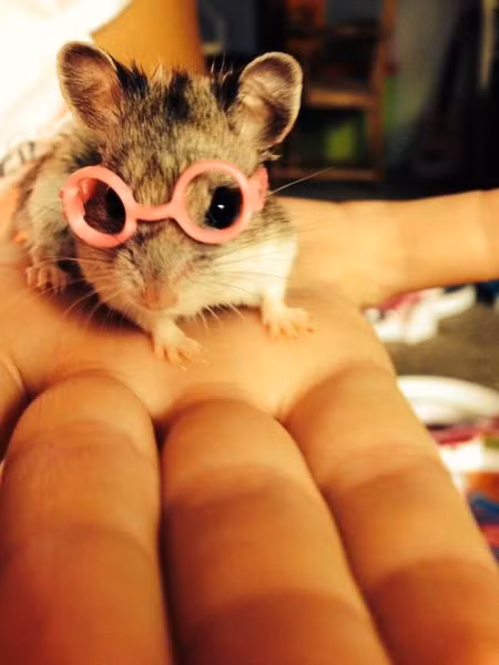 Chụp cho em bức ảnh nào...