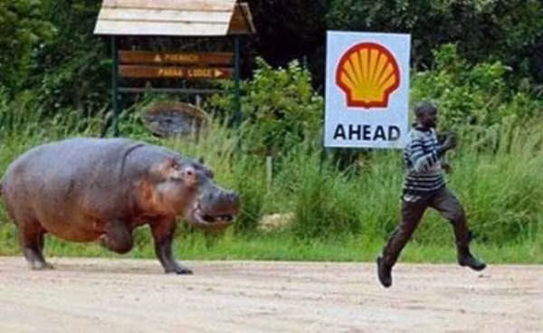 Chạy nhanh còn kịp.