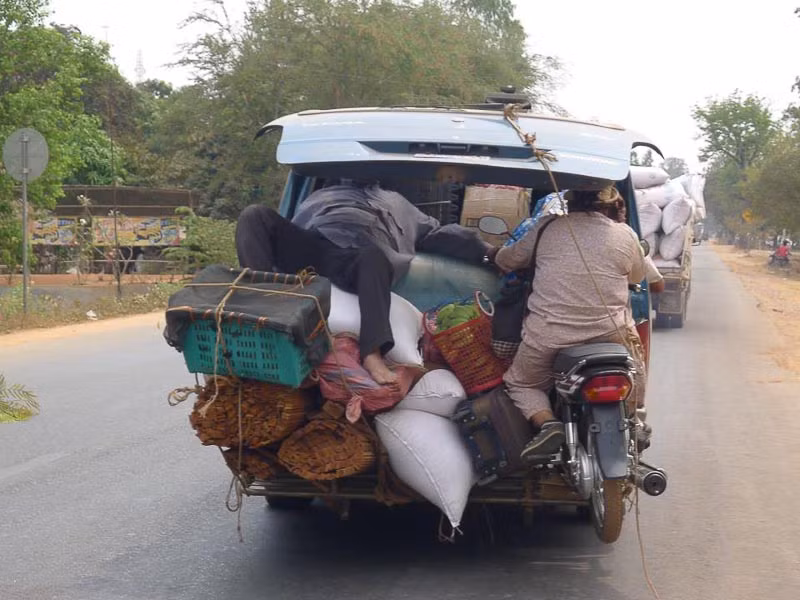 Tranh thủ làm giấc.