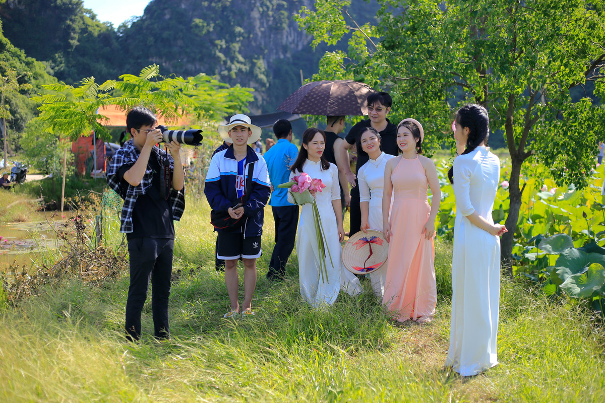 Khu vực này trước đây chủ yếu để trồng lúa. Khi thấy rủi ro cao, lợi nhuận đem lại ít, lại vất vả, sau đó nhiều nhà quyết định đổi sang trồng sen. Giống sen tại đây là sen hạt, nhằm đáp ứng được nhu cầu chụp ảnh của khách thập phương, đồng thời là nguyên liệu để cung cấp cho những cơ sở sản xuất chè sen.