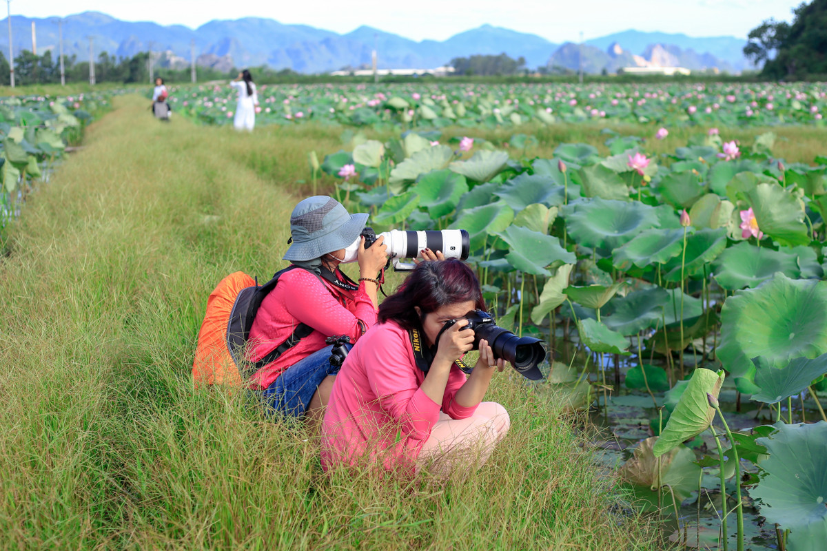 Chị Huyền (ngoài cùng, Mỹ Đình 2) chia sẻ: "Tôi cùng với bạn mình đến đây từ lúc 4h. Đi từ sáng sớm nên không gian ở đây rất dễ chịu. Sen năm nay nở đẹp, mang lại cho tôi rất nhiều cảm xúc để sáng tác".