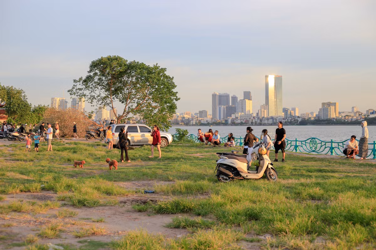 Chiều cuối tuần, dù thời tiết nắng nóng, nhiều bạn trẻ, gia đình chọn bãi đất thông thoáng gần phủ Tây Hồ, ven hồ Tây làm điểm vui chơi. Đây cũng là nơi có " cây cô đơn" - gốc cây được giới trẻ Hà Nội ưa chuộng làm điểm check-in - vừa bị chặt phá một nhánh lớn vào nửa đêm ngày 14/6. Phần bị đổ là một trong 2 nhánh lớn của cây này, phần sát gốc có dấu hiệu bị chặt phá.