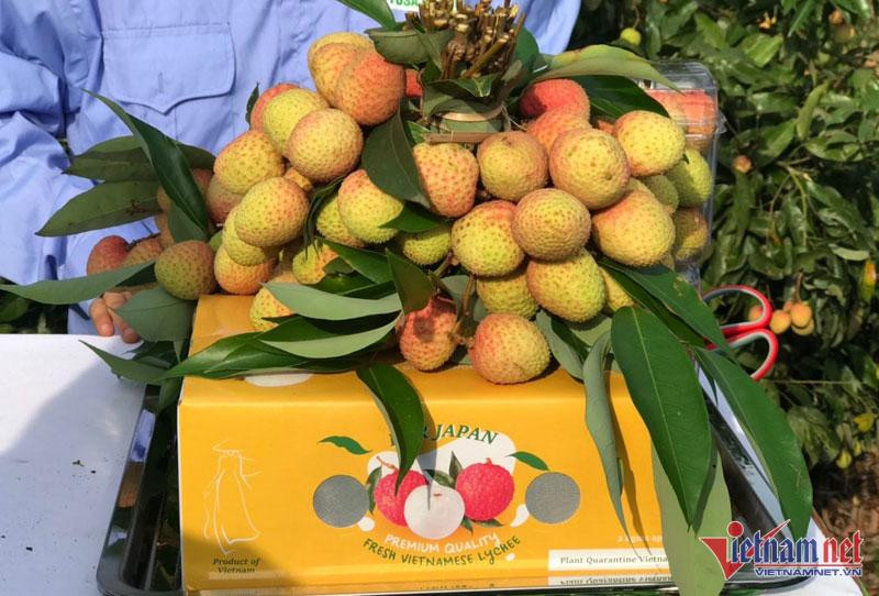 Vai thieu trung gia, mot ngay lao nong thu ngay 25 trieu dong-Hinh-4