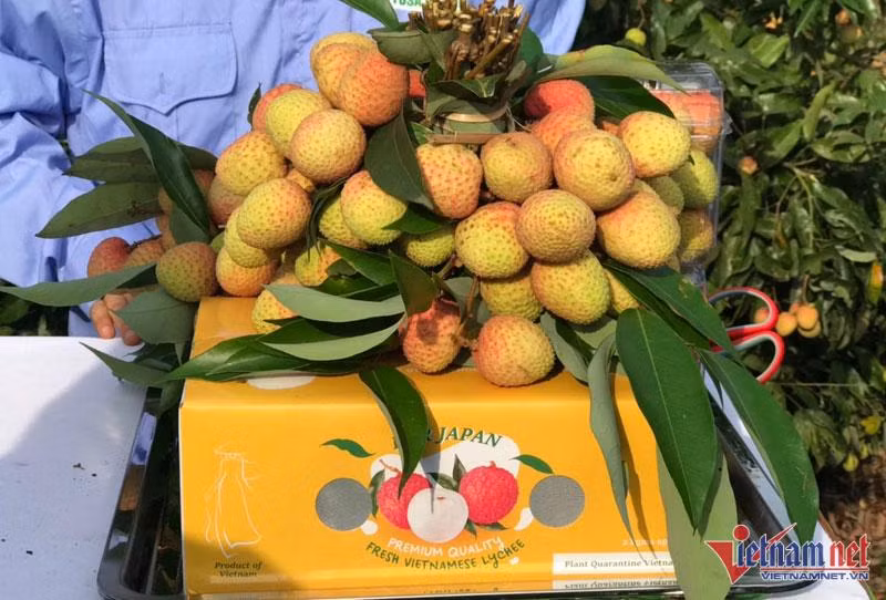 Vai thieu trung gia, mot ngay lao nong thu ngay 25 trieu dong-Hinh-4