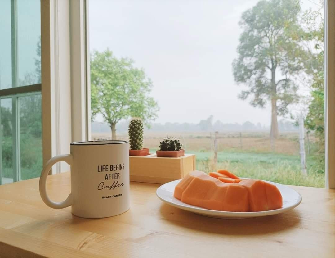 Ngoi nha 77m2 co view ra mang xanh bao la, cuoc song binh yen-Hinh-5